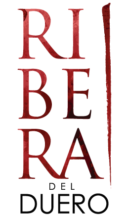 LOGOTIPO-RdD_COLOR_SIN-CONSEJO